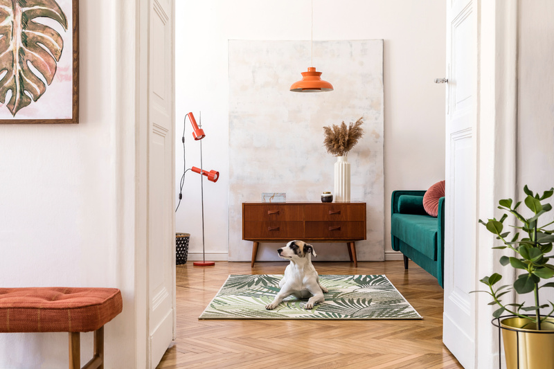 Find Your Perfect Rental Today