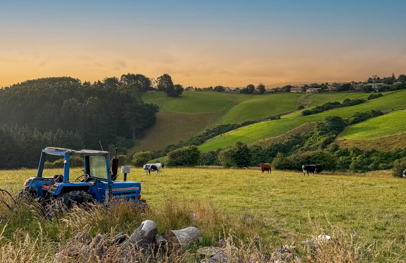 Specialists Who Know Lifestyle and Rural — Inside and Out